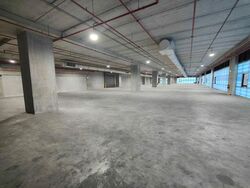 Suites 123 (D8), Warehouse #575776181